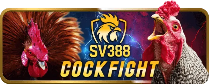 Cá Cược Thể Thao tại u888 vip1